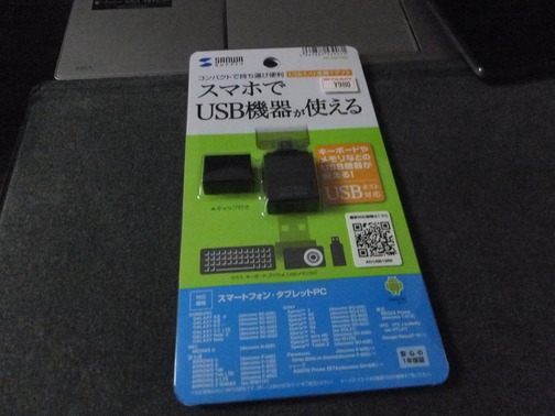 DSCF8727