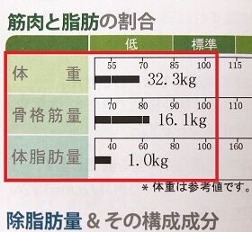 筋肉と脂肪の割合