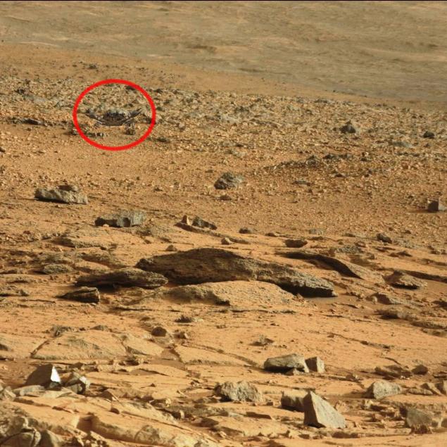 NASAの火星探査機、火星の大地に生物らしきものを見つけるｗｗｗｗｗｗｗｗｗｗｗｗ