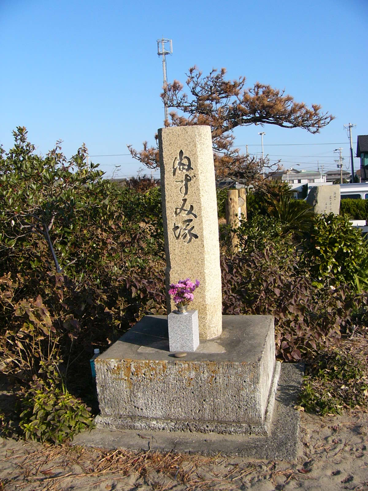 埼玉県 じゃーんぷっ 静岡県富士市 由比町 静岡市 焼津市