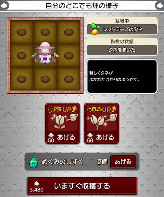 あちゃの 畑に切り込む Dqx ちゃもももんぶログ