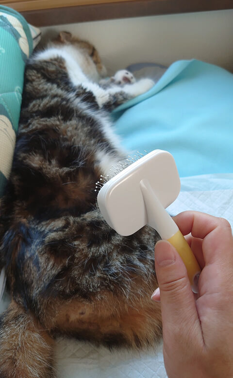 じゃーーーんっ!