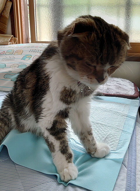 何考え込んでるのかな?