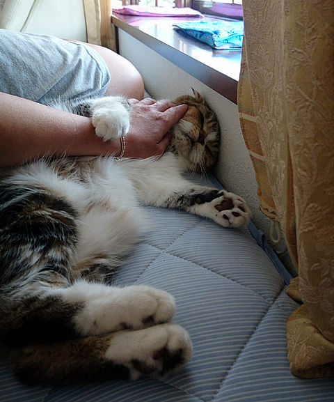 いこいこ・・・