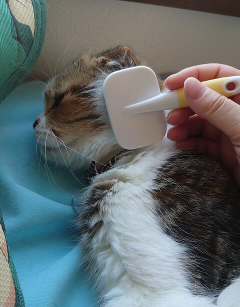 ほっぺに・・・