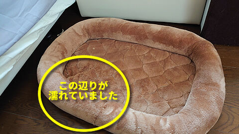 コレですね・・・