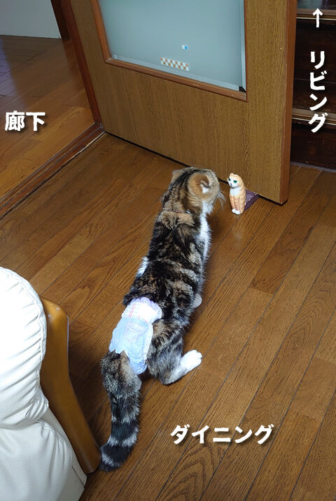 そこから先は無理でしょ!