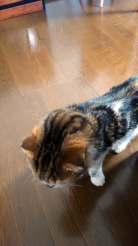抱っこですね・・・