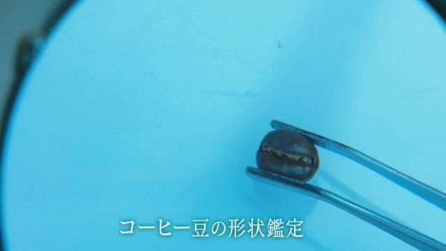 kasou-S17-11-003
