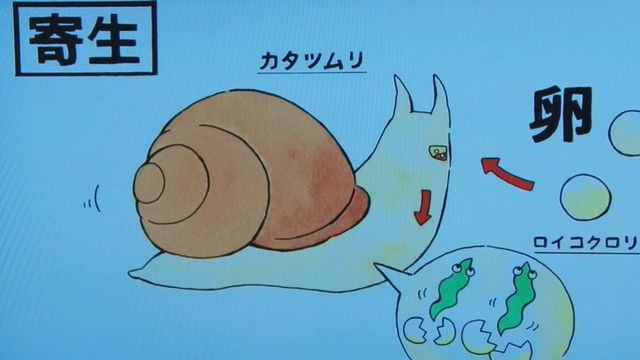 kasou-S17-05-010
