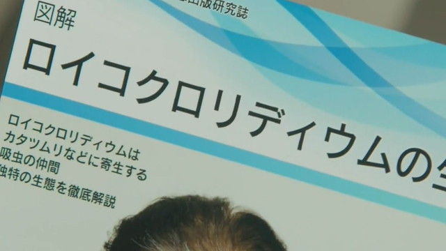 kasou-S17-05-008