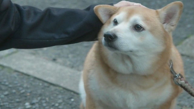 kasou-S17-07-012