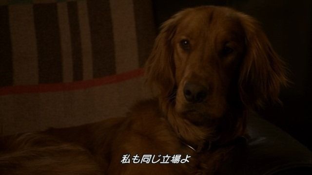 観たモノとかのBlog警察署長ジェッシイ・ストーン ４番目の真実