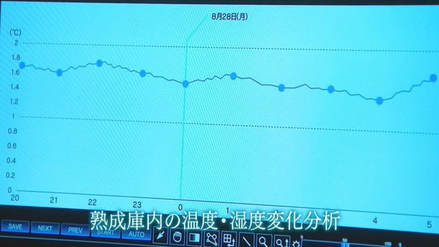 kasou-S17-01-004