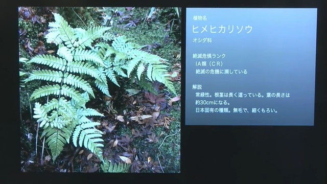 kasouS16-14-003