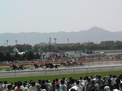 函館競馬場２