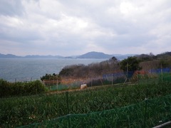 向島方面