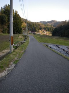 のどか