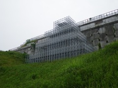 IMGP3058