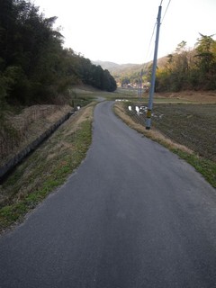 脇道