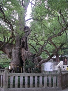 大山祇神社