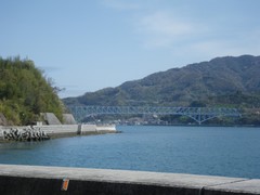 �����綶��������