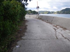 岡村島周回道路