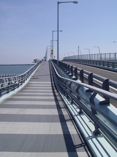 ���̶彣������