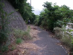 荒れたサイクリングロード
