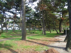 弓削島