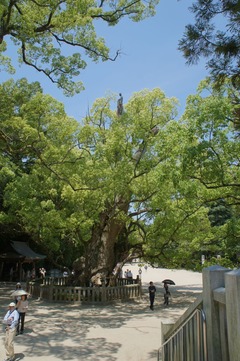 image013