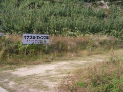 イナズミキャンプ場