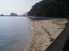 大三島ふるさと憩いの家の前の浜