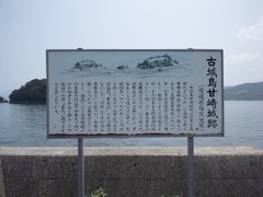 image009