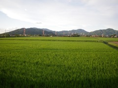 田園