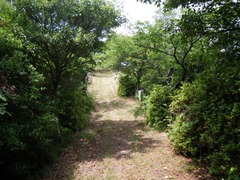 IMGP3099
