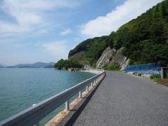 外周道