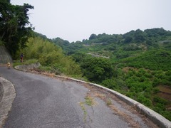 IMGP3028