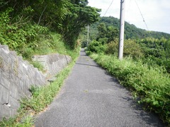 アップダウン