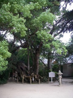 大山祇神社