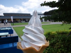 せらワイナリー