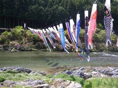 �����Τܤ�