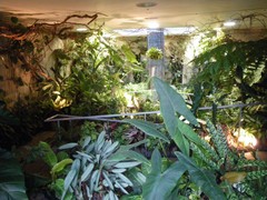 淡路夢舞台・奇跡の星の植物館 淡路夢舞台・奇跡の星の植物館