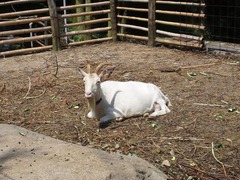 image014