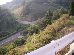 ナゾの新道