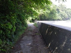 image003