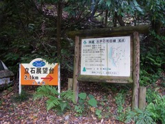IMGP3097