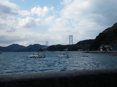 洋らんセンター