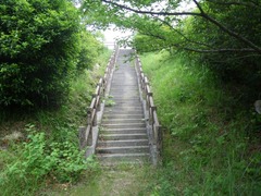 IMGP3038