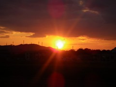 夕日 夕日